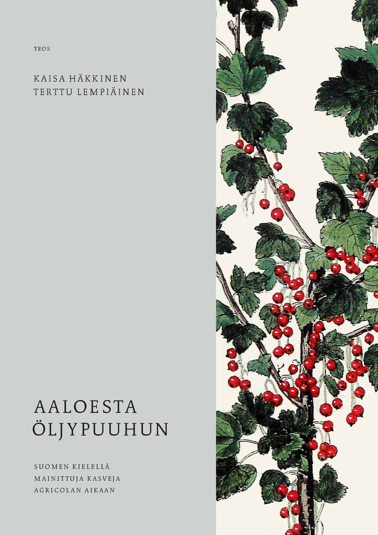 Aaloesta öljypuuhun