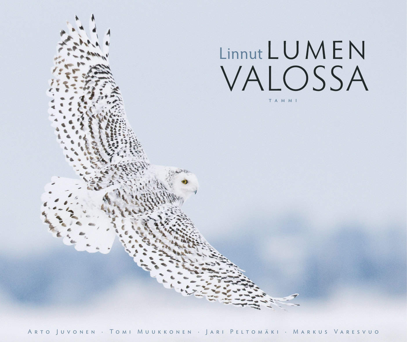 Linnut lumen valossa