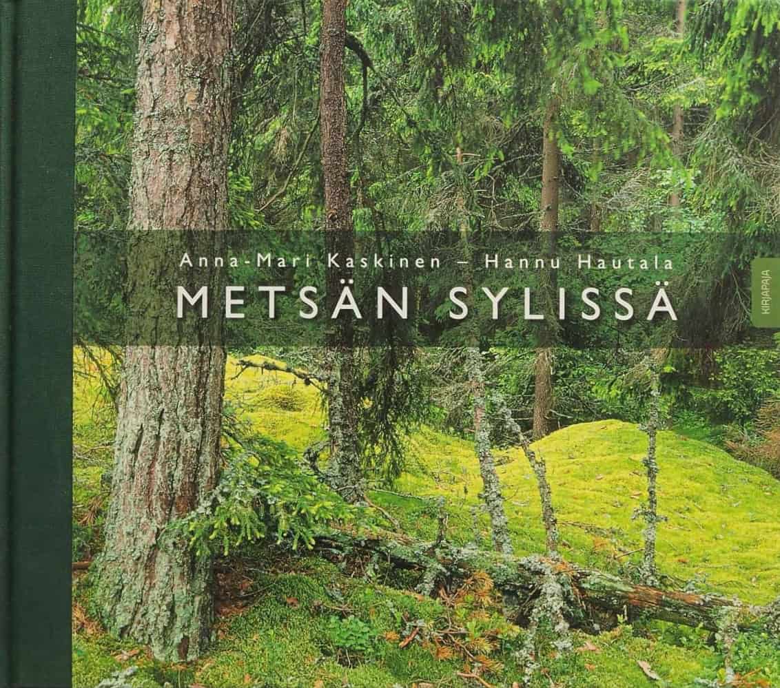 Metsän sylissä