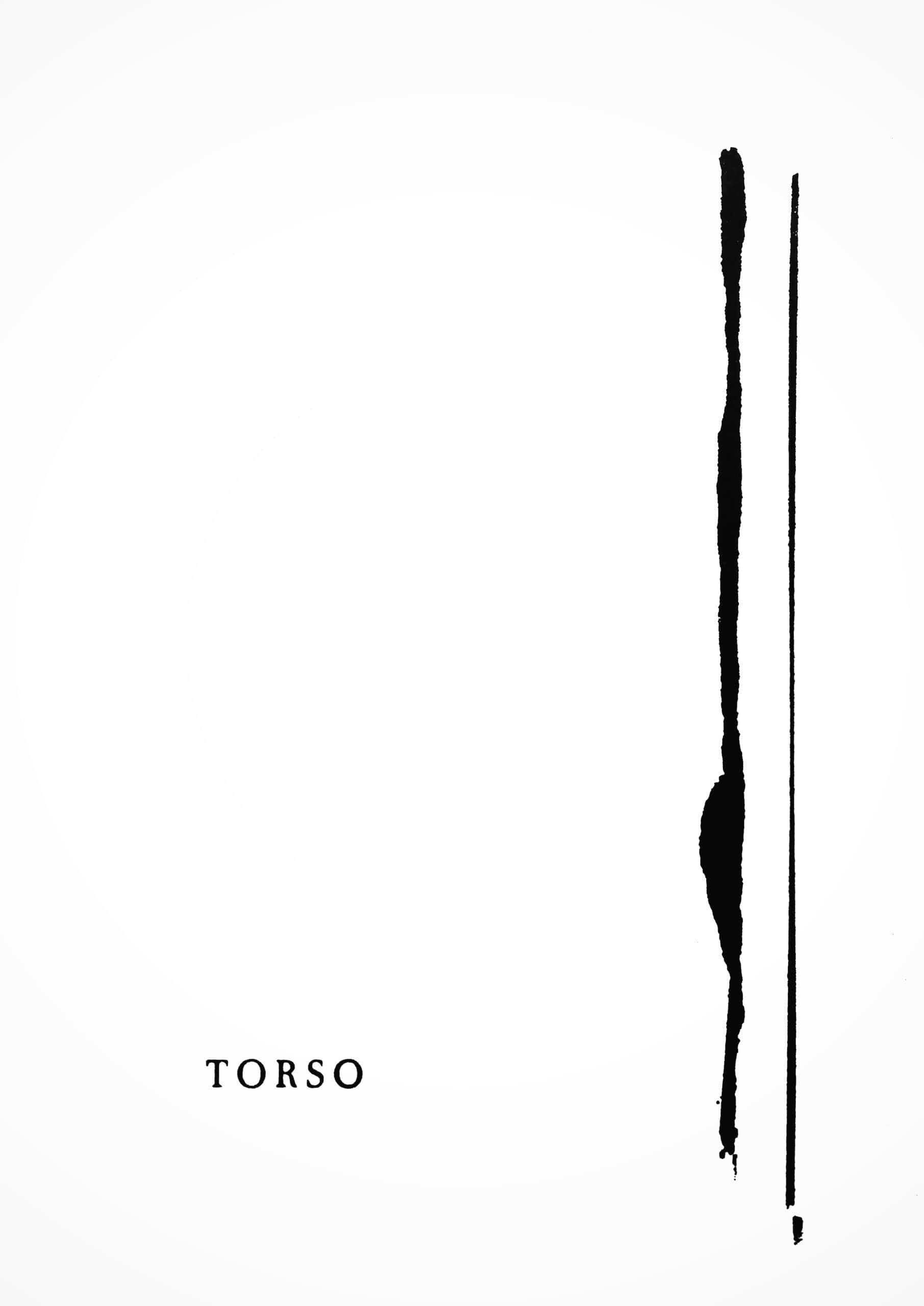 Torso